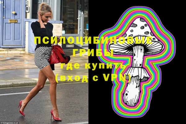 сатива Осташков